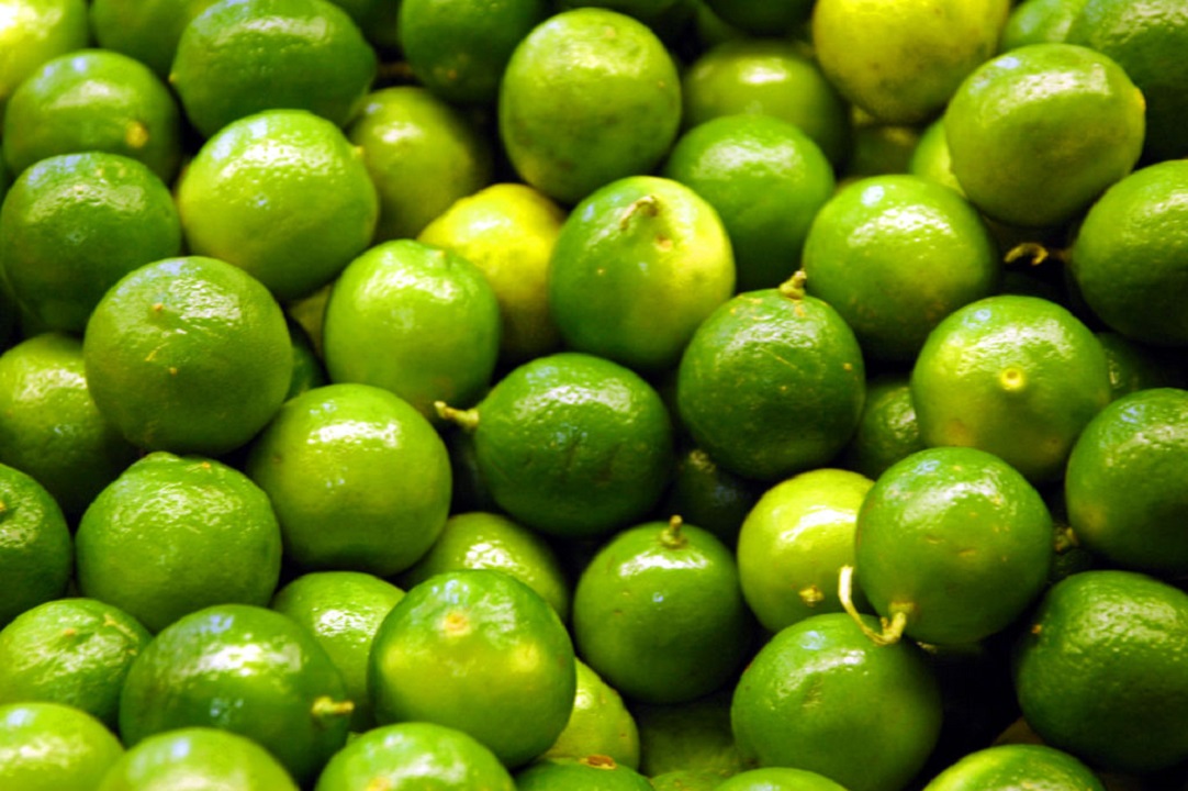 الليمون البنزهير Lime وتعرف على 13 فائدة صحية لإستخدامه