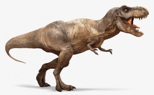 باحثون يكتشفون حفرية ديناصور بحجم «حافلة» في الصحراء الغربية