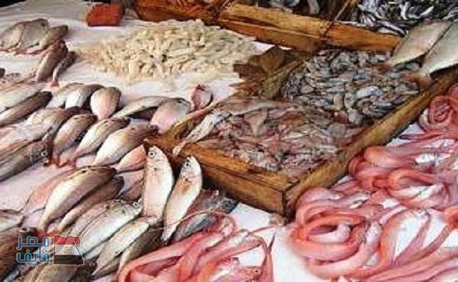 بالفيديو .. رصد أسعار الأسماك فى الأسواق والمصريون فى انتظار إنتاج المزارع الجديدة