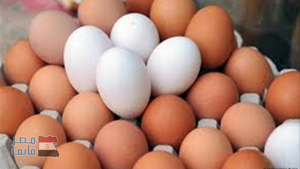 تعرف على السر وراء ارتفاع أسعار البيض الأحمر عن الأبيض وأيهما أكثر فائدة