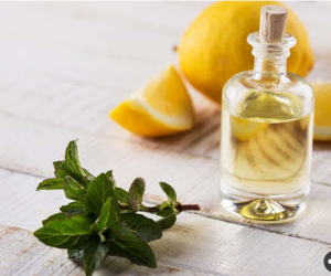 زيت الكانولا