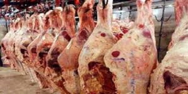 شعبة القصابين: تراجع كبير في أسعار اللحوم الحية في جميع الأسواق