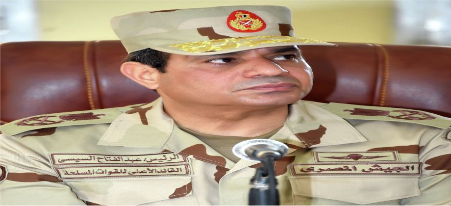 الرئيس السيسي يطالب رجال الأعمال والمواطنين بالتبرع لصندوق تحيا مصر لإعمار سيناء