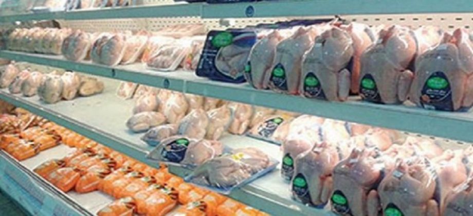 رسميًا.. التموين تعلن خفض أسعار اللحوم والدواجن المجمدة في مختلف المحافظات