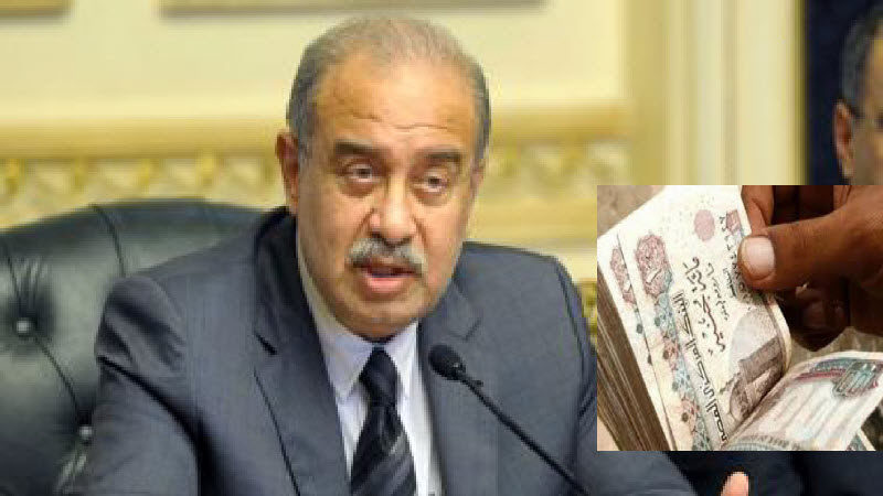 سعر البترول والدولار في الموازنة الجديدة للدولة المصرية