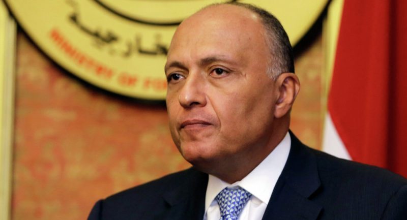 مصر تستنكر استطلاع القناة الروسية بشأن «حلايب».. ورد فعل فوري من وزير الخارجية المصري