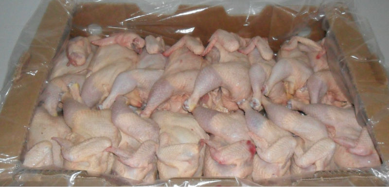 دجاج مجمد في السوق المصرية تثير الريبة بين المستهلكين بسبب سعرها الرخيص – فيديو –