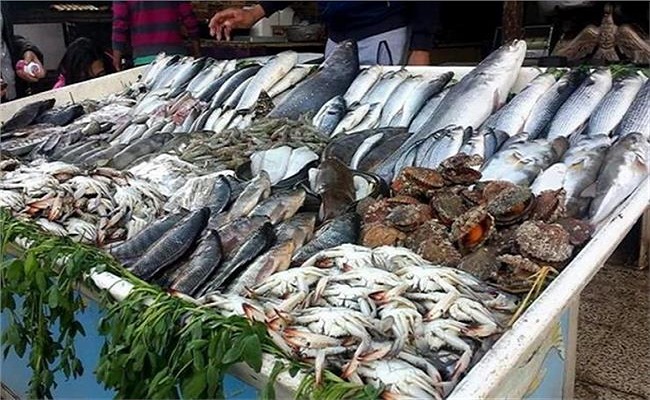 تعرف على أسعار الأسماك في سوق العبور