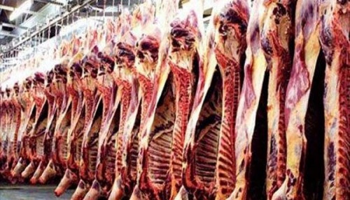 خطوات جادة من الحكومة المصرية لخفض أسعار اللحوم
