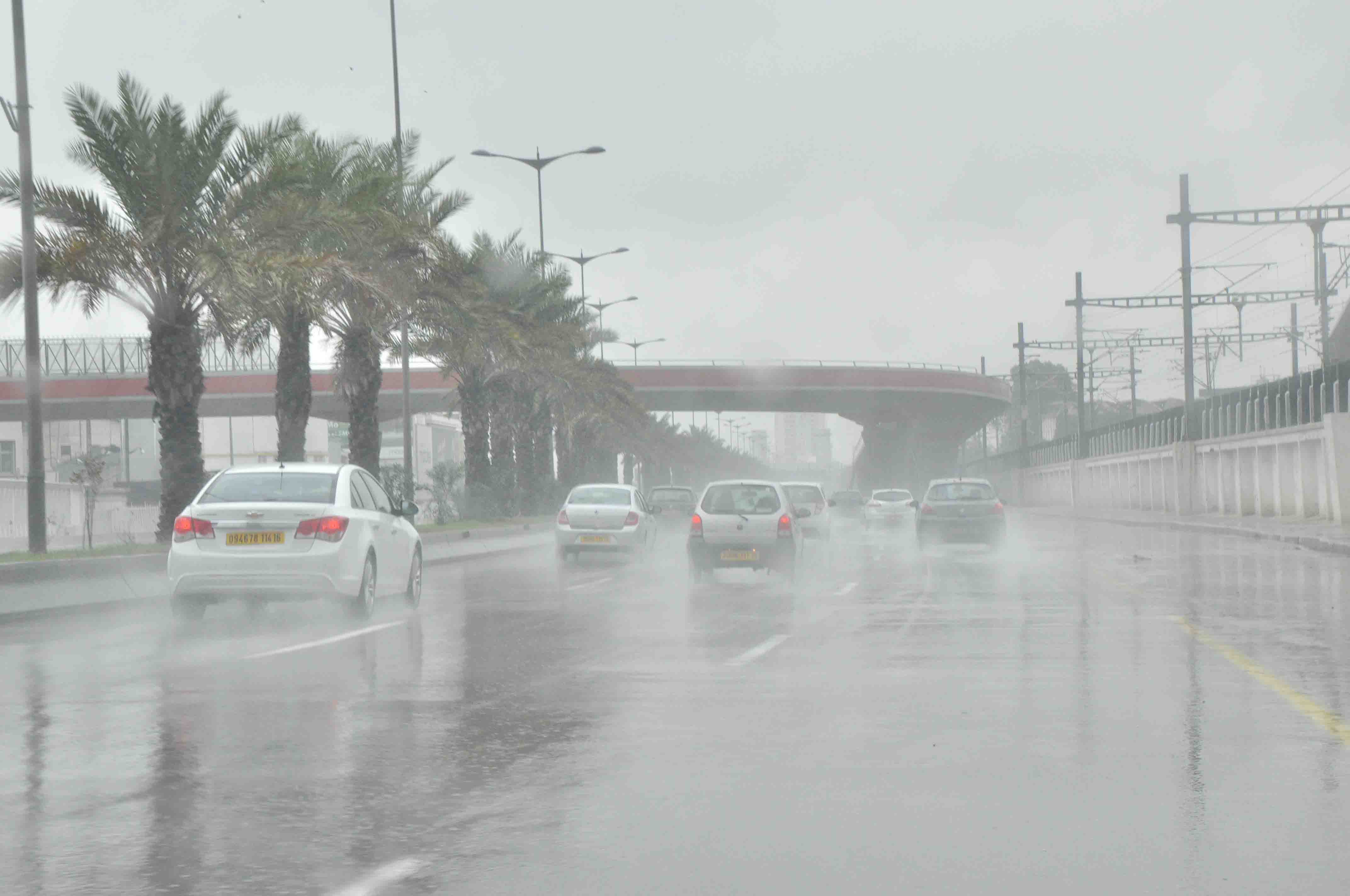 الأرصاد الجوية تحذر المواطنين وتؤكد أمطار رعدية وشبورة على المحافظات التالية غدا السبت