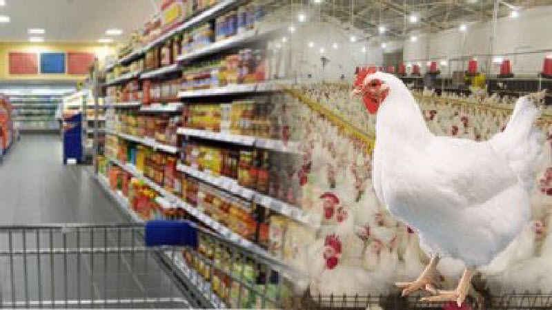 بالتفاصيل.. الحكومة : إنخفاض في أسعار السلع والمنتجات الغذائية داخل السوق.. “تعرف على الأسعار الجديدة”