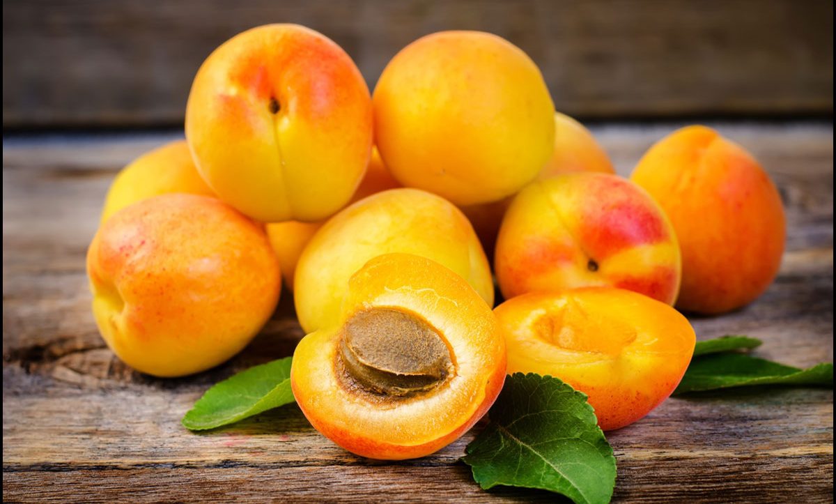 الفوائد الصحية لفاكهة المشمش أهمها الشباب الدائم والمحافظة على القلب