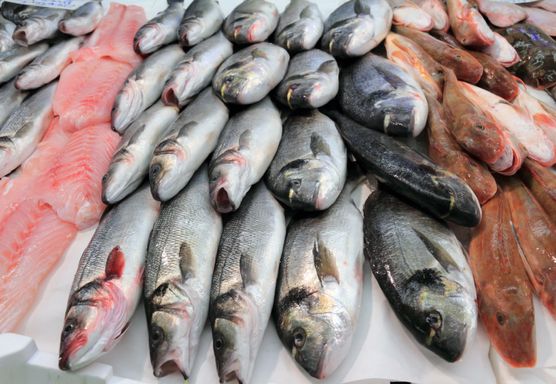 عاجل.. الأطباء يحذرون ملايين المواطنين من “سمكة قاتلة” تباع في الأسواق
