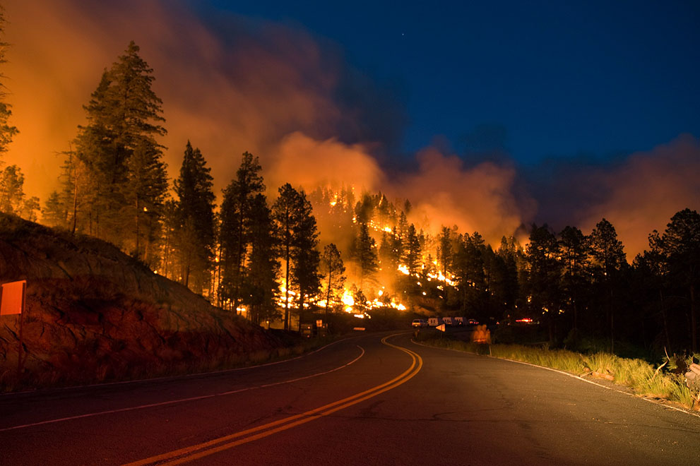 مناشدة السويد للاتحاد الأوروبي لإنقاذ حريق الغابات