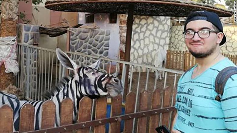 بالصور| حمار وحشي "مزيف" بحديقة الحيوان بالقاهرة يثير اهتمام الصحف العالمية 5