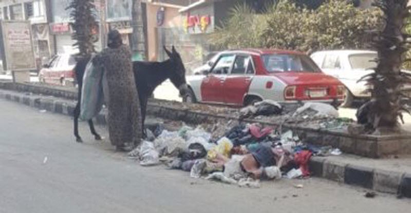 فيديو تراكم القمامة بـ « مدينةالزقازيق » ينتشر على الانترنت.. شاهد