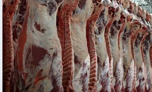 رئيس القصاصين يزف بشرى سارة للمصريين بشأن انخفاض أسعار اللحوم البلدية