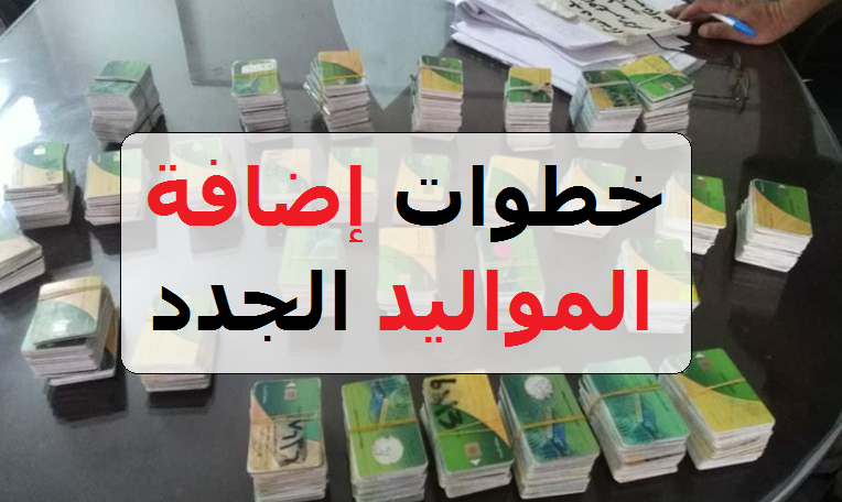 إضافة المواليد الجدد على بطاقة التموين- ننشر خطوات تنزيل المواليد على البطاقات التموينية عبر موقع دعم مصر