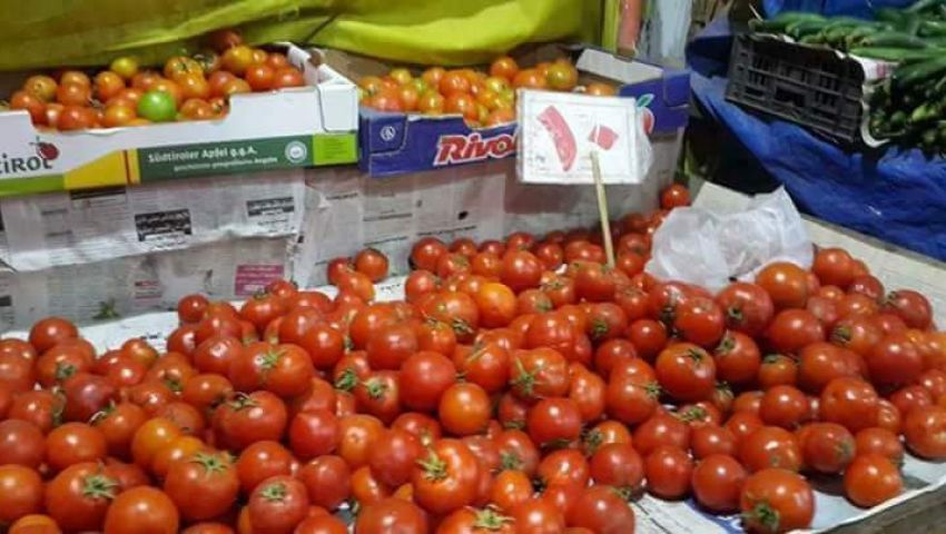 عاجل.. أول تعليق من الحكومة حول وجود “طماطم مسمومة” في الأسواق