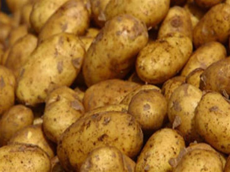 وزارة الزراعة تكشف السبب الكامن وراء ارتفاع أسعار البطاطس بشكل جنوني