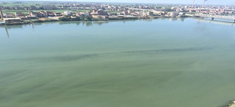 ظهور “بقعة سولار” داخل مياه النيل يثير رعب المواطنين.. وقرار عاجل من الحكومة