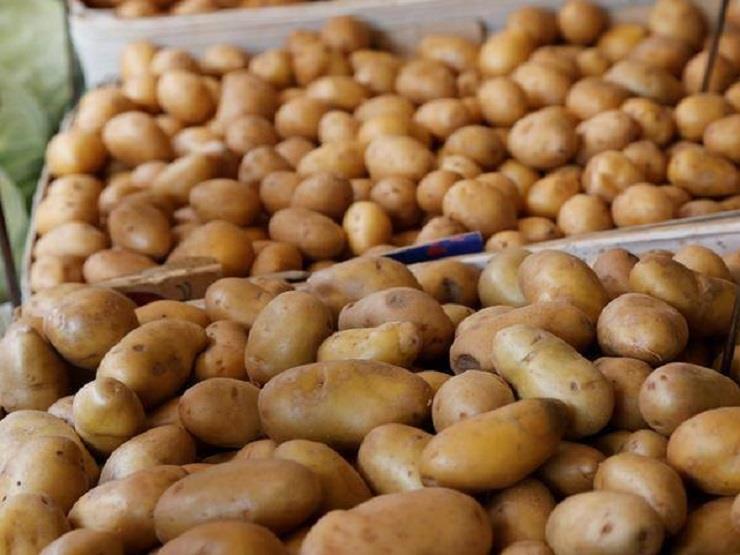 “البطاطس هتبقي بـ 2 جنية”.. “الزراعة” تكشف التفاصيل الكاملة للأزمة وحلها