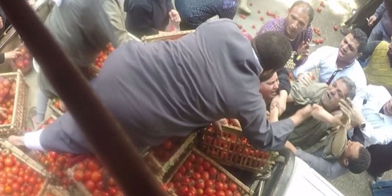 عاجل بالفيديو| “الزراعة” تعلق على أخبار انتشار “فيروس الطماطم” الذي أصاب المواطنين بالهلع.. وسبب ارتفاع أسعارها بطريقة كبيرة