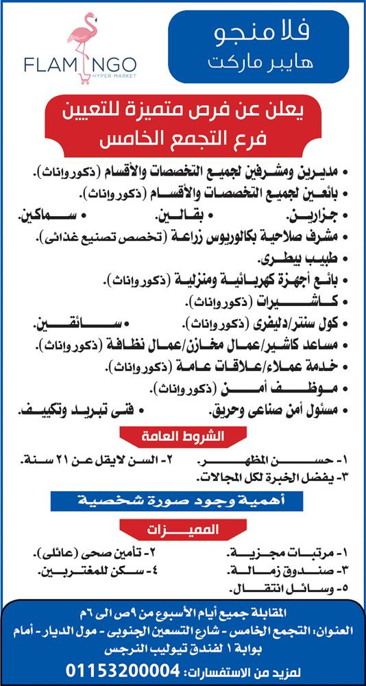 إعلانات وظائف جريدة الأهرام لمختلف المؤهلات 11