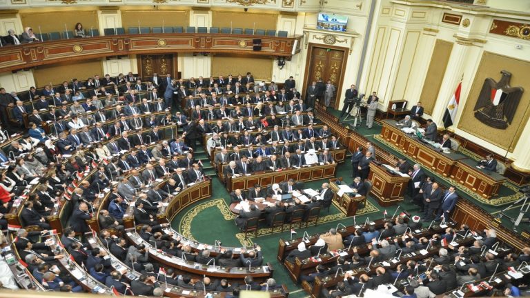 نائب بالبرلمان يُطالب مجلس النواب بإلغاء قرارات وزير التموين بشأن حذف المواطنين من الدعم