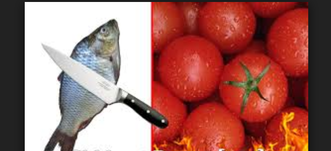 البلطي يرتفع والطماطم تنخفض تعرف على أسعار السمك والطماطم اليوم