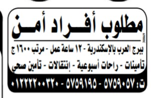 إعلانات وظائف جريدة الوسيط اليوم الاثنين 25/2/2019 17