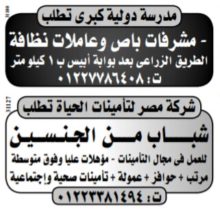 إعلانات وظائف جريدة الوسيط اليوم الاثنين 25/2/2019 24