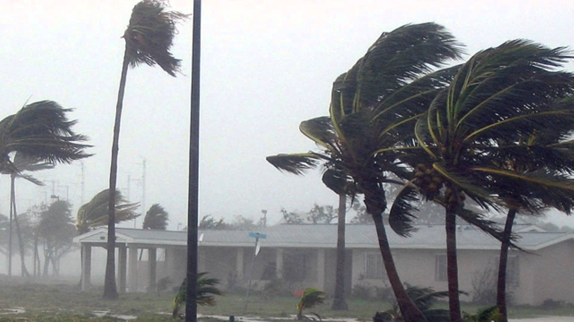 الأرصاد الجوية تحذر المواطنين عاصفة تضرب البلاد بعد قليل وتناشد المواطنين بعدم الخروج من المنازل