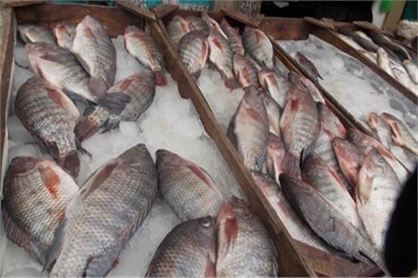 أسعار الأسماك في السوق اليوم الثلاثاء 23 إبريل 2019