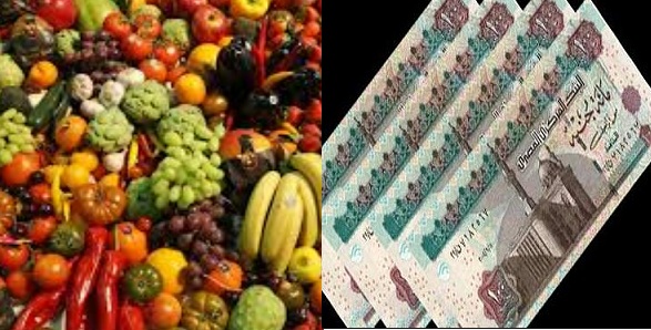 بالمستندات”.. قرار جديد للصادرات بفرض رسوم جديدة على الموالح والفاكهة والثوم والبصل ومصدرون سيدمر السوق