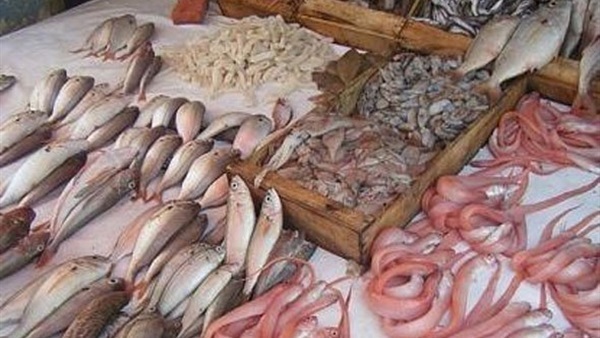 ارتفاع أسعار الأسماك بكفر الشيخ يصيب الأسواق بالشلل والأهالي بالغضب.. والبوري يرتفع لـ70 جنيه 7