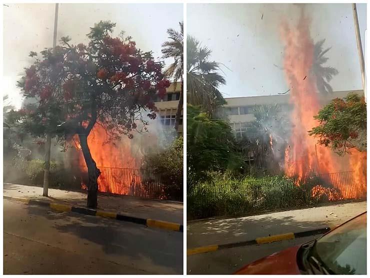 بالصور| النار وصلت للسماء.. تفاصيل حريق الهرم منذ قليل والدفع بـ5 سيارات إطفاء وتم السيطرة عليه 2
