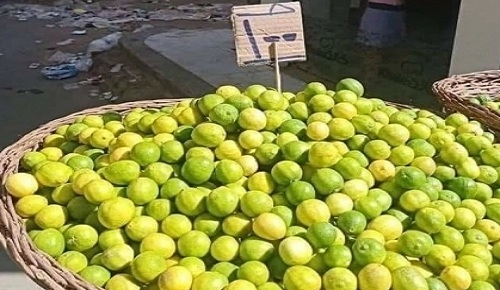 بشرة خير.. تراجع 9 أصناف في سوق العبور من بينها الليمون بـ25 جنيهاً