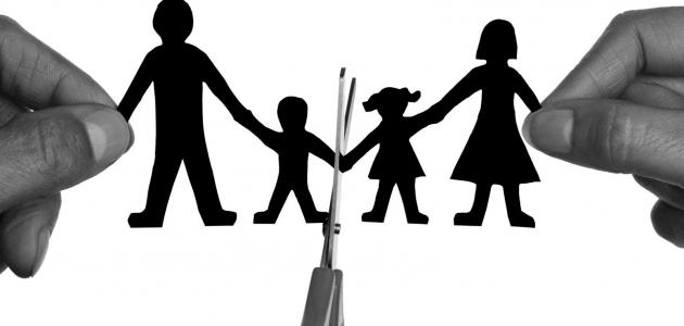 «المركزي للتعبئة والإحصاء» يوضح حقيقة احتلال مصر للمركز الأول عالمياً في معدلات الطلاق