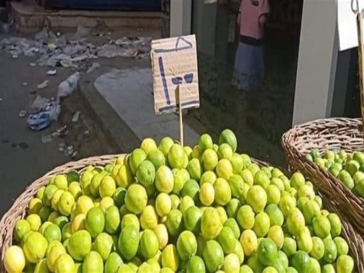 هبوط جديد في سعر الليمون اليوم.. وأمين الفلاحين يكشف أسباب ارتفاع السعر 7