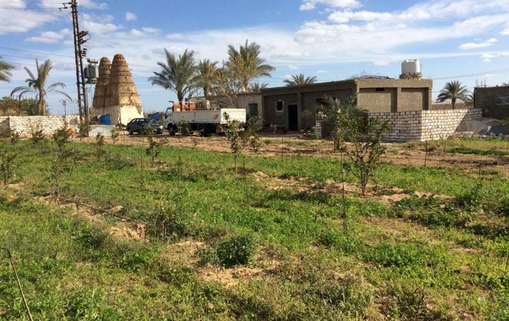 عاجل “مهلة شهر للتقنين”| قرار جديد اليوم بتحويل بعض الأراضي الزراعية إلى مباني في بعض المحافظات المصرية والشروط التفاصيل