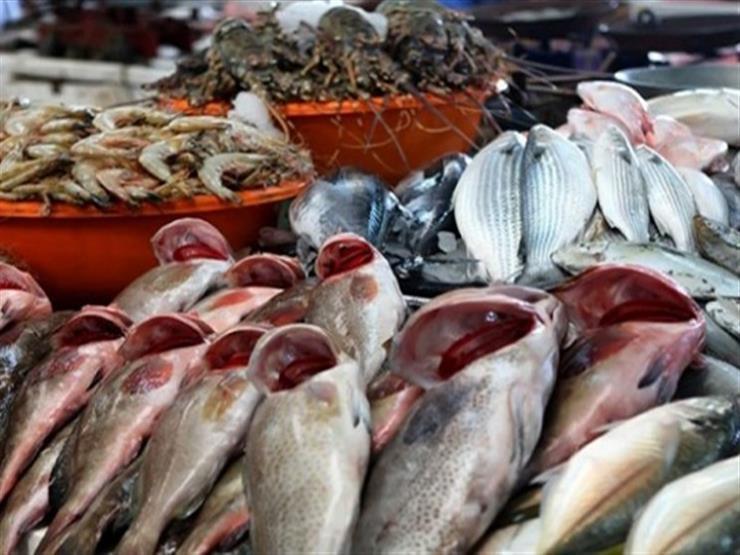أسعار السمك اليوم السبت 19 أكتوبر