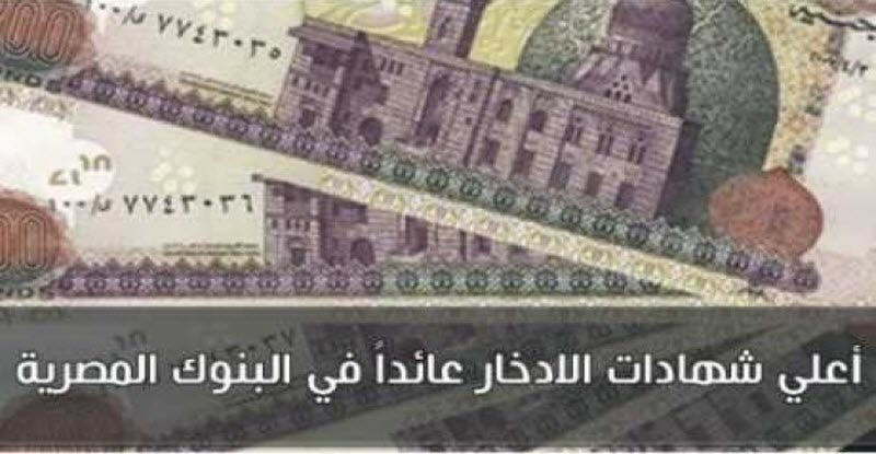 بعد تخفيض سعر الفائدة .. تعرف أعلى شهادات الادخار عائدًا في مصر