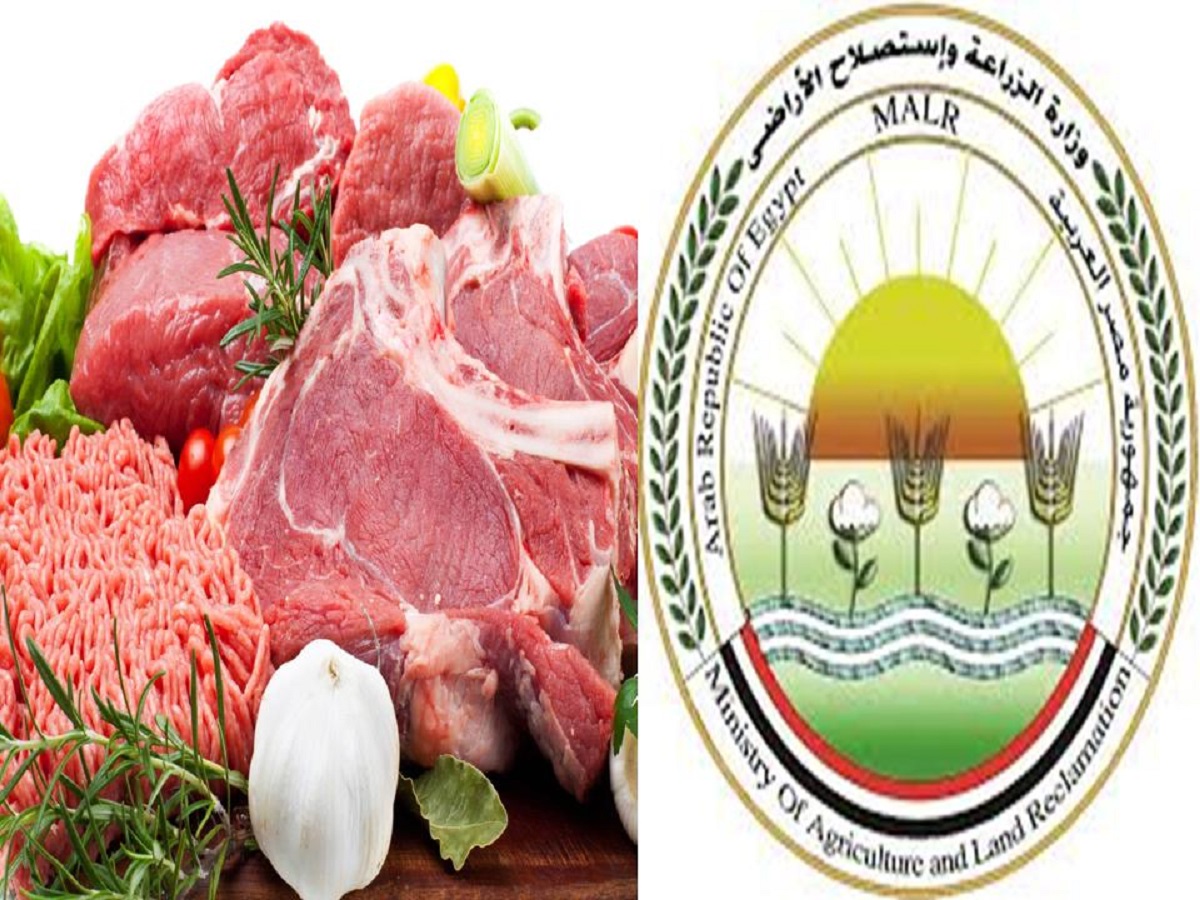 مصر.. ارتفاع في أسعار اللحوم الفترة المقبلة
