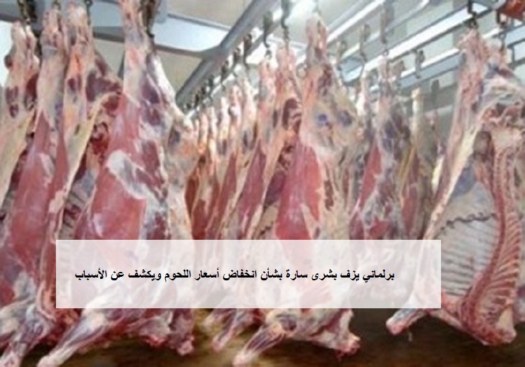 برلماني يزف بشرى سارة للمصريين بشأن انخفاض أسعار اللحوم ويكشف عن الأسباب