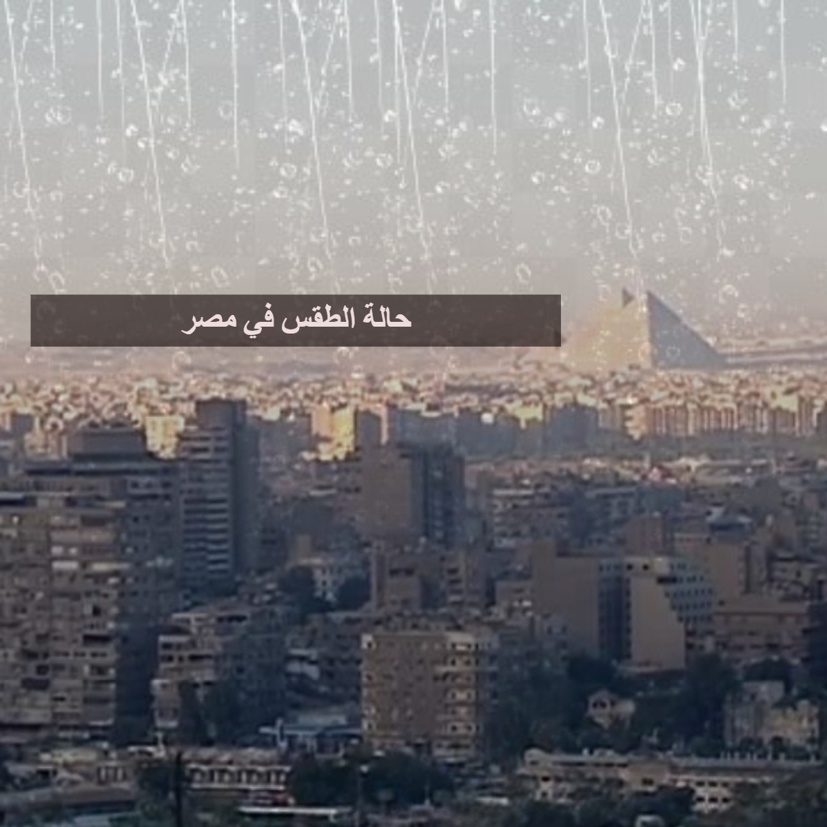 حالة الطقس في مصر غدًا الاثنين وتحذيرات من هيئة الأرصاد الجوية وأماكن سقوط  الأمطار 10-2-