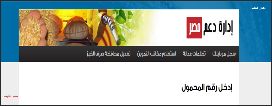 موقع دعم مصر 2022 خطوات تسجيل رقم الموبايل ببطاقة التموين.. ماذا تعني رسالة خطأ  904 ؟