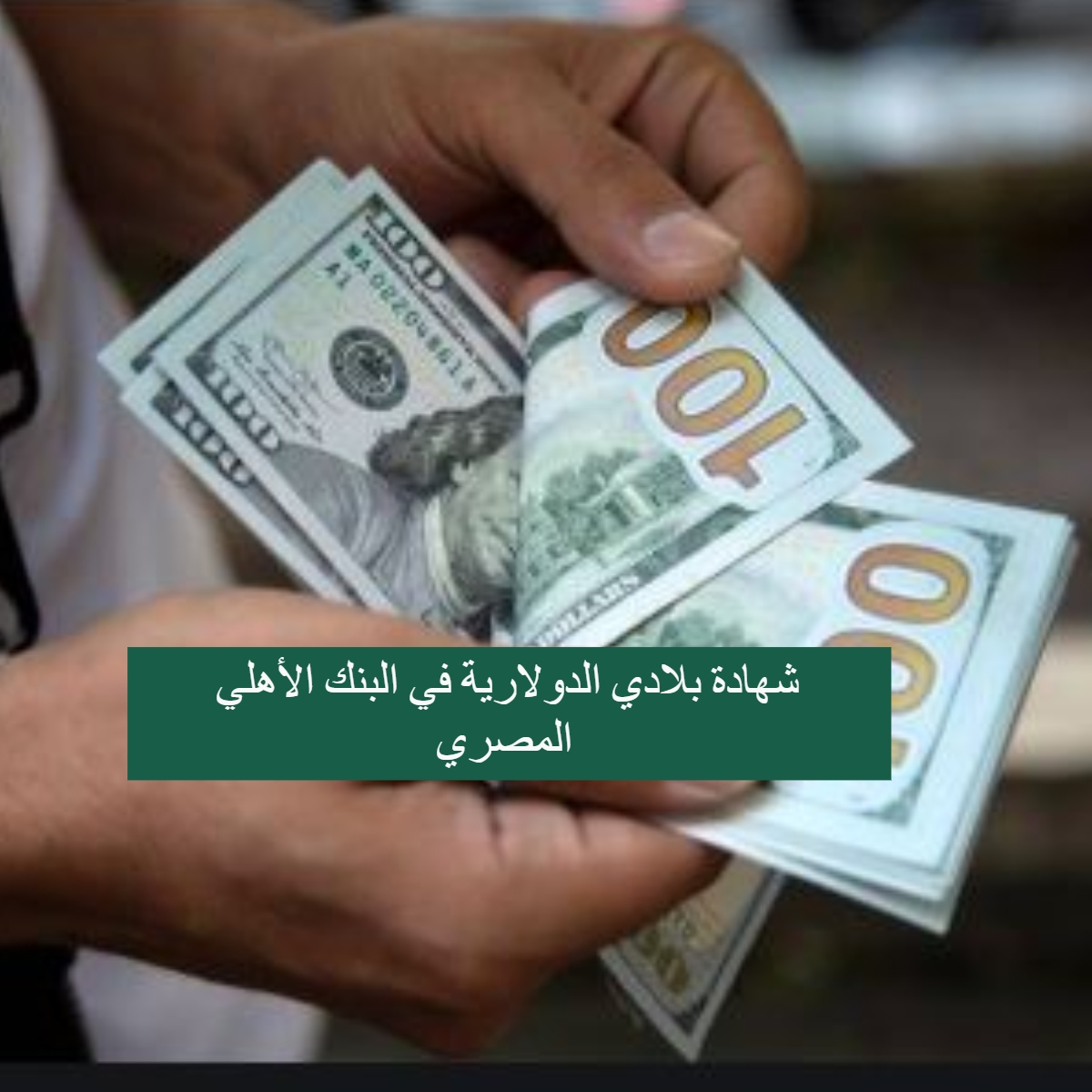 شهادة بلادي الدولارية في البنك الأهلي المصري 