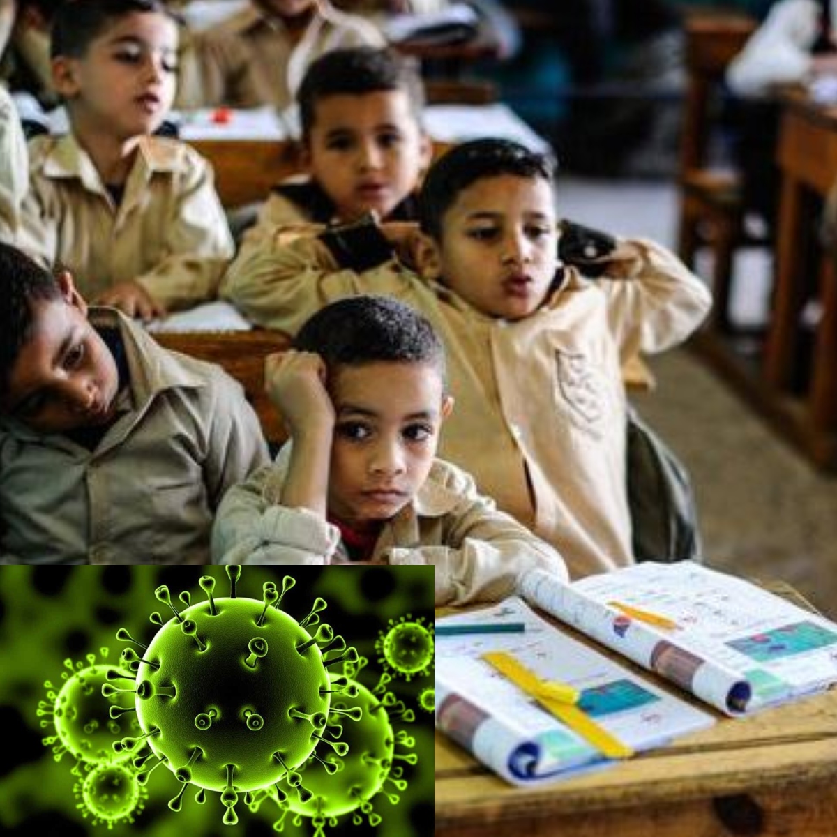 موعد بدء الدراسة في مصر ووزارة التعليم تحسم جدل التأجيل خوفًا من فيروس كورونا 