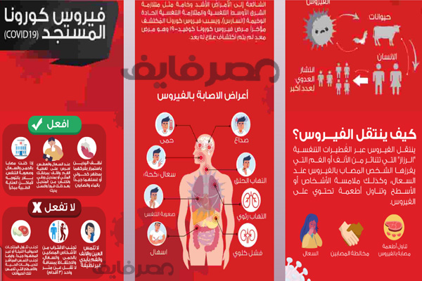 موقع care.gov.eg لتوعية المواطنين ومعرفة طرق انتقال الفيروس وكيفية الوقاية منه وآخر احصائيات في مصر والعالم 8